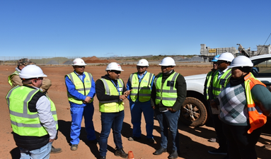 南非电力部长考察红石115兆瓦光热发电项目